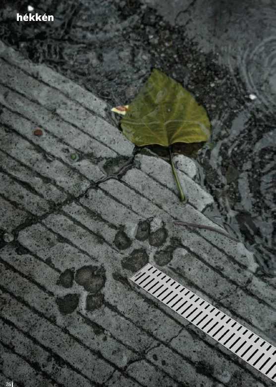 hékkén outdoor drain channel in rain — showing durability and anti-slip design