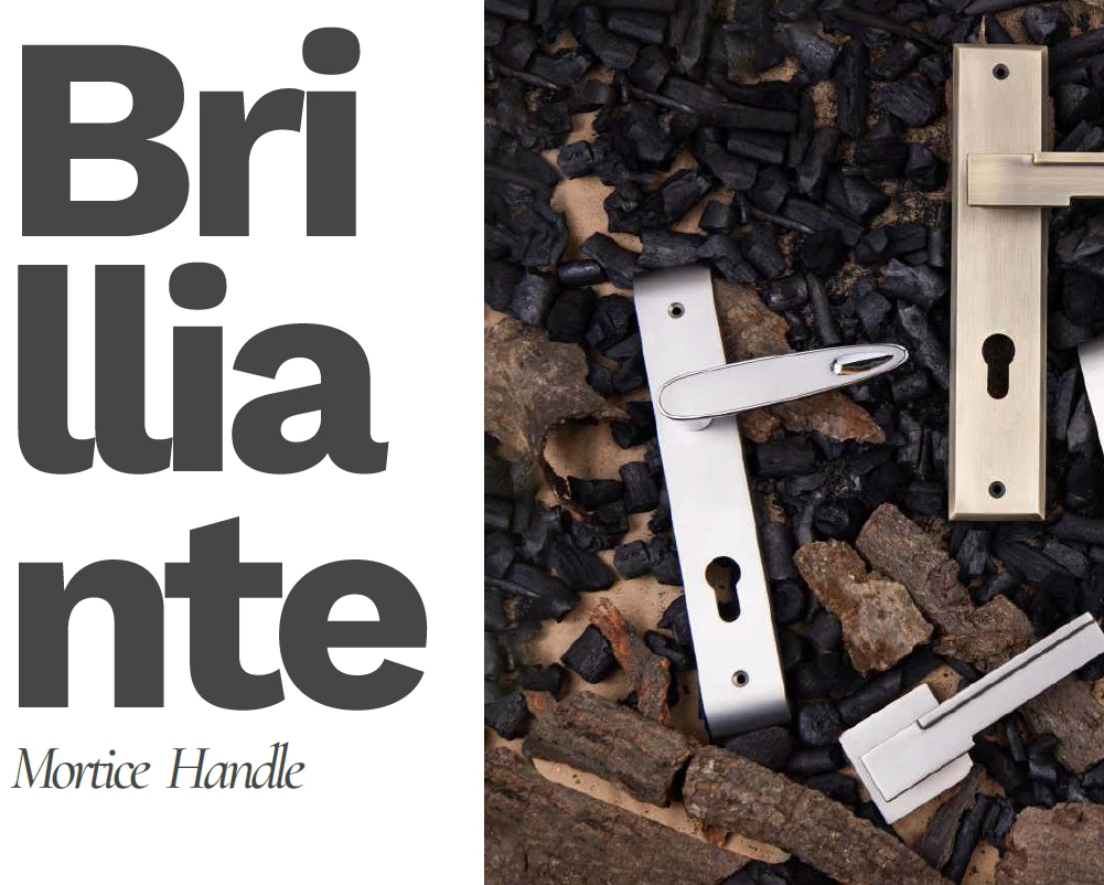 Brilliante Mortice Handle