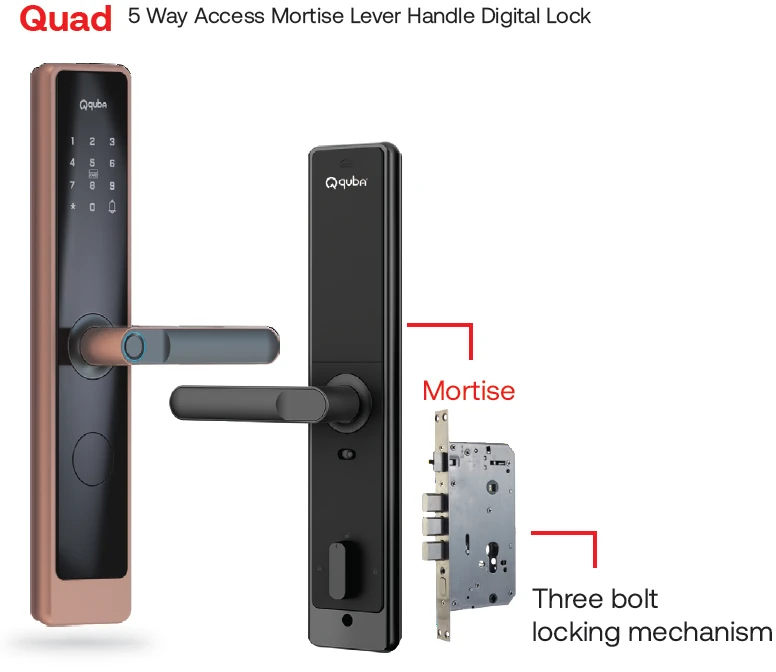 Quad Mortise Digital Lock