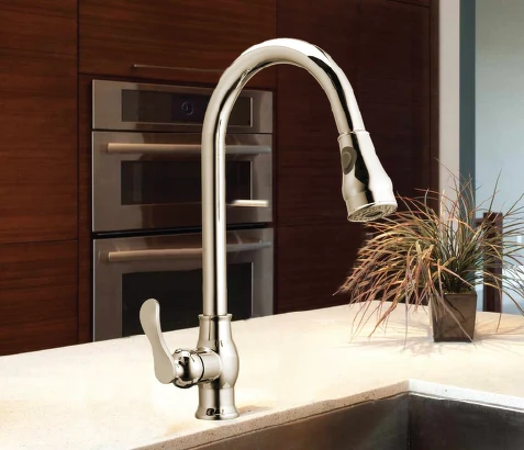 Kitchen Swan Neck Pull-Out Faucet