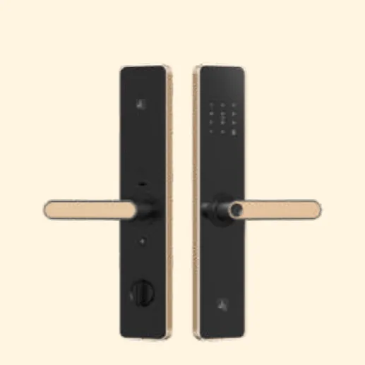 A2 Fiori+ Wi-Fi Fingerprint Lever Handle Digital Lock