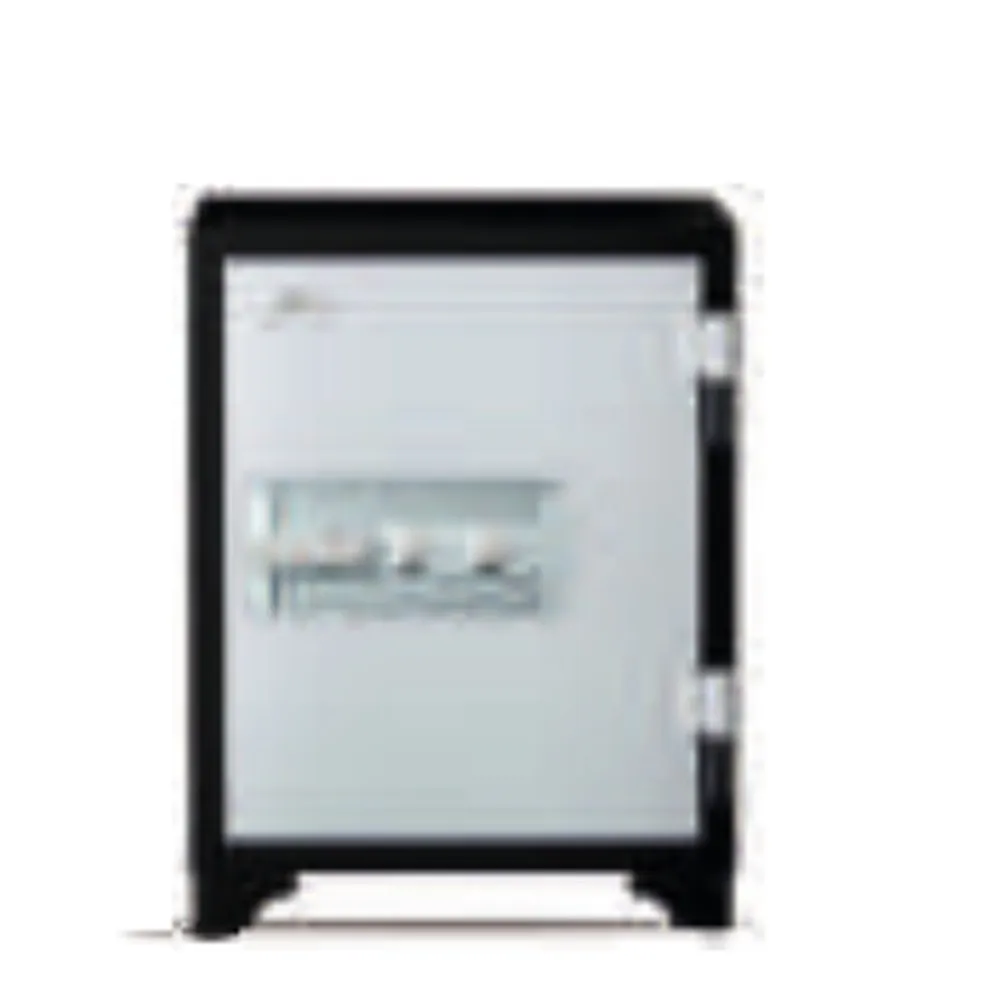 Godrej Centiguard 445 49L Fire Resistant Safe (Key Lock)
