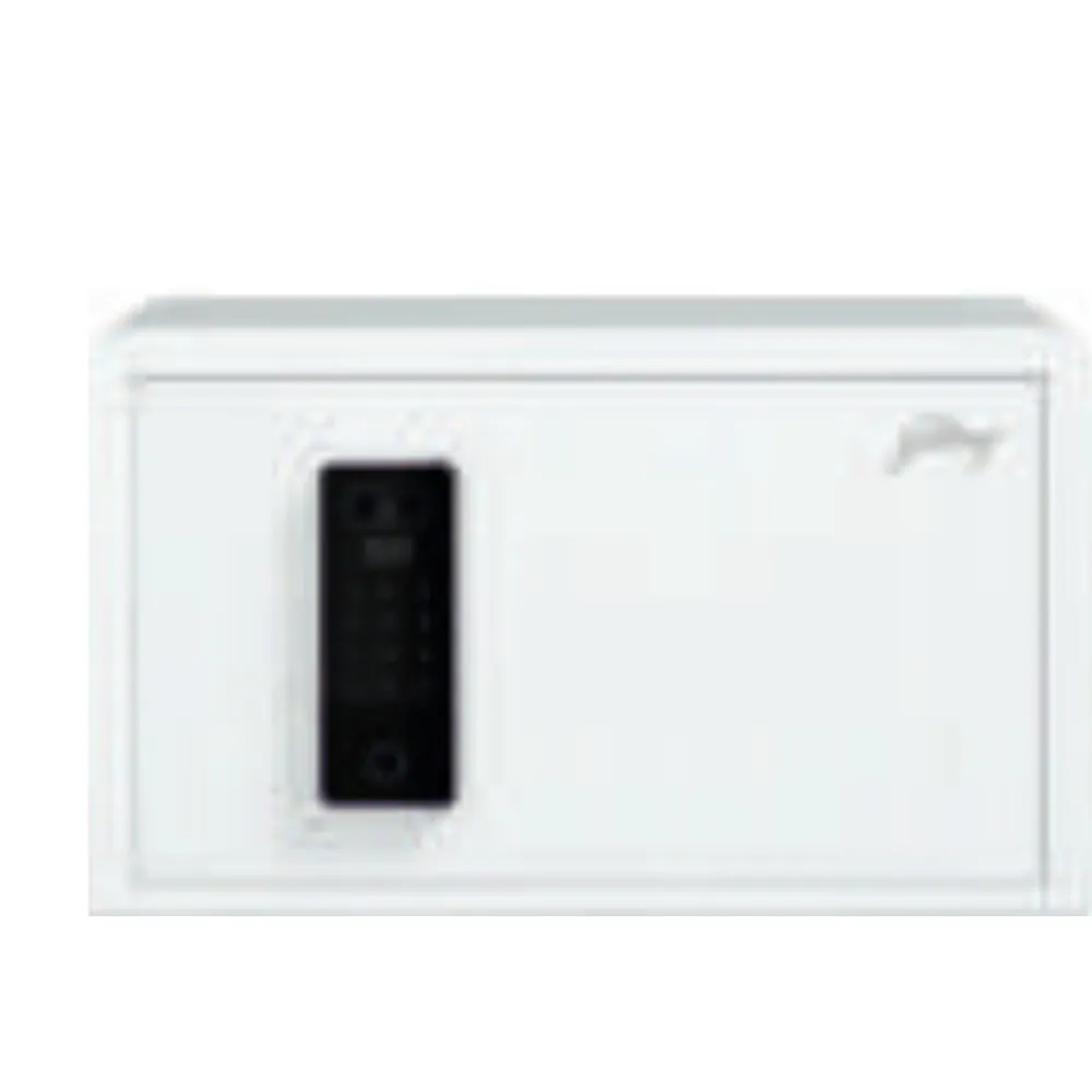 Godrej NX Pro Ncrypt 40L Face Recognition Home Locker (Digital + Biometric + Face)