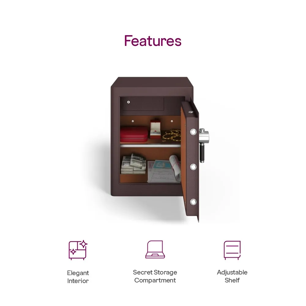 Godrej Rhino Regal 100L Key Lock Home Locker (Brown / Grey) photo 6